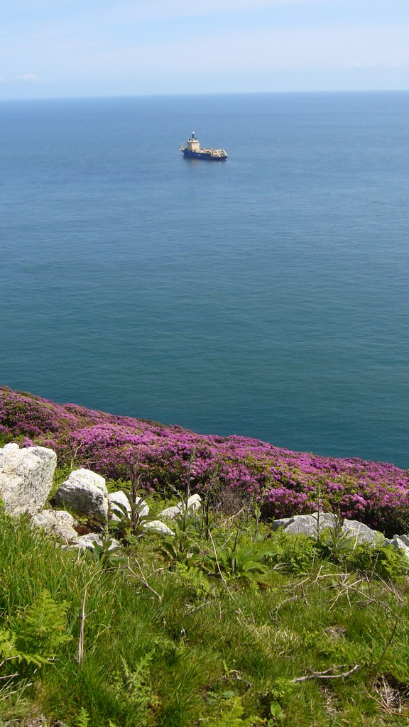 Agrandir la Photo